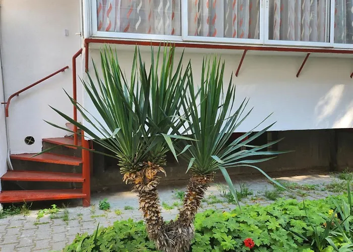 7a Cozy Affordable Oasis Lejlighed Varna