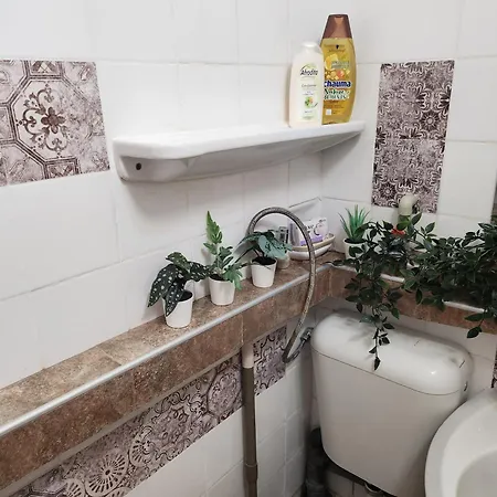 7a Cozy Affordable Oasis Apartament